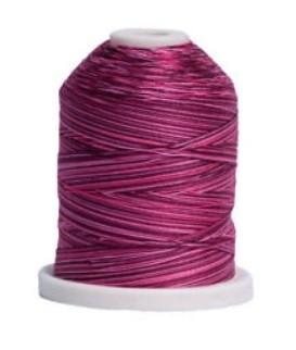 Signature Thread - Varigated - Raspberries - 700 yards - T41SM079