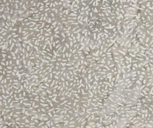 Solare - Shadow Dance - 81000-137