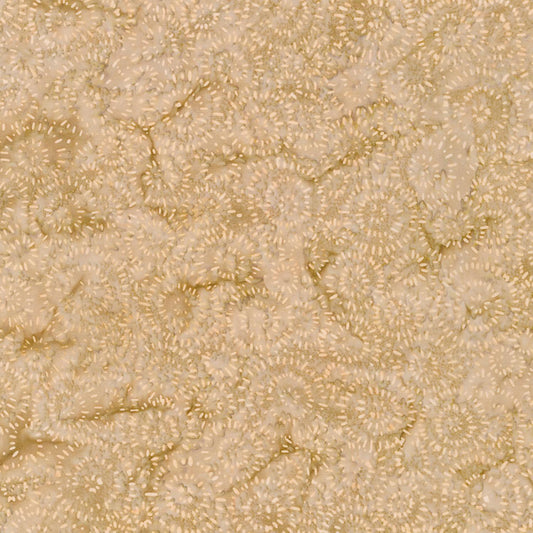 Splash - Beige - 22389-159