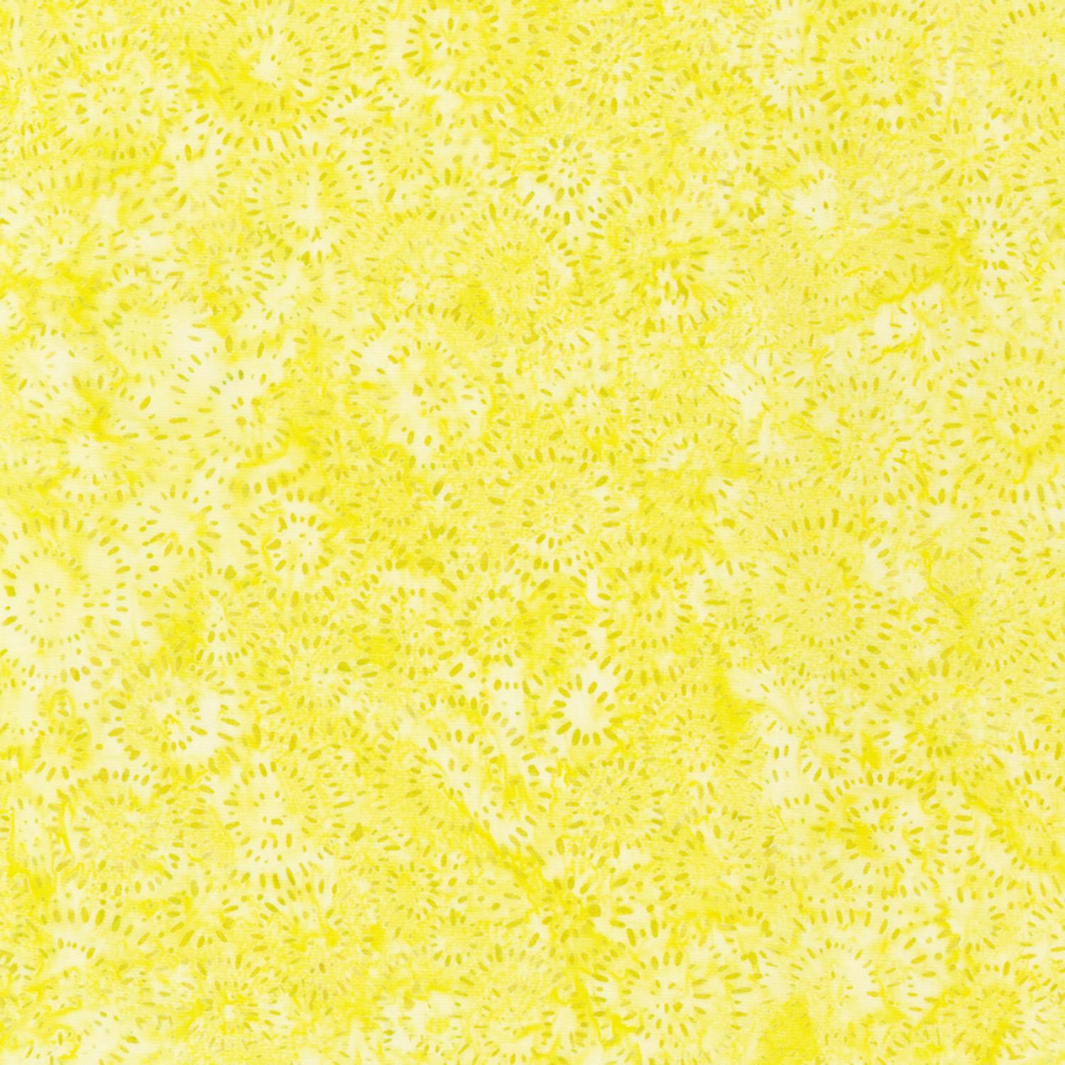 Splash  - Lemon - 22389-137