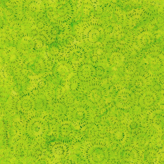 Splash  - Lime - 22389-50