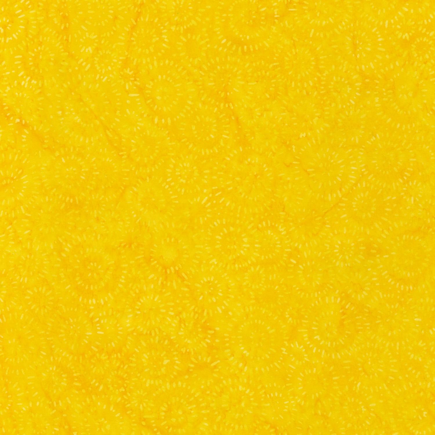 Splash - Yellow - 22389-5
